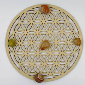 Plaque de Rechargement Fleur de Vie 10 cm