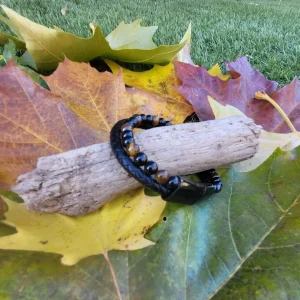 Bracelet « Force & Confiance » – Cuir, Œil de Tigre & Onyx